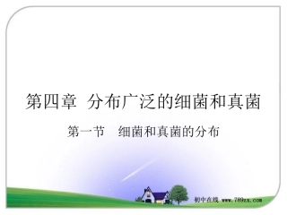 细菌和真菌的分布