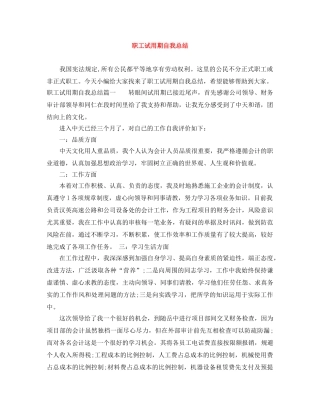 职工试用期自我总结 
