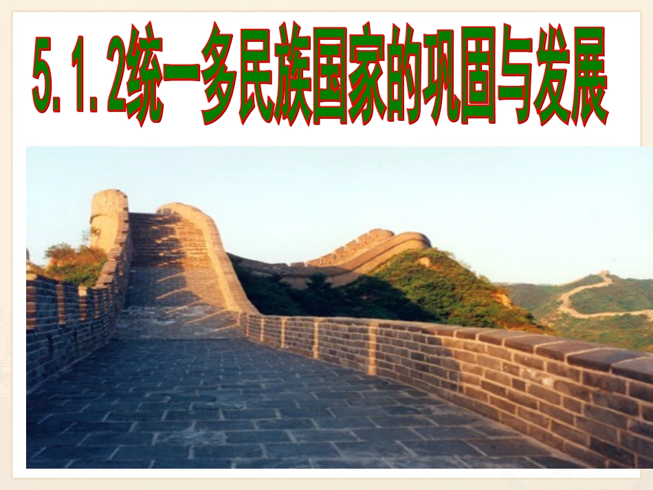 统一多民族国家的巩固与发展 (2)_第3页