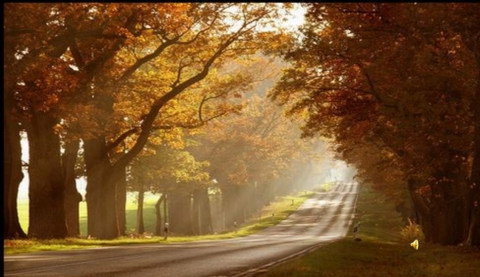 主题丛书阅读指导课_第1页