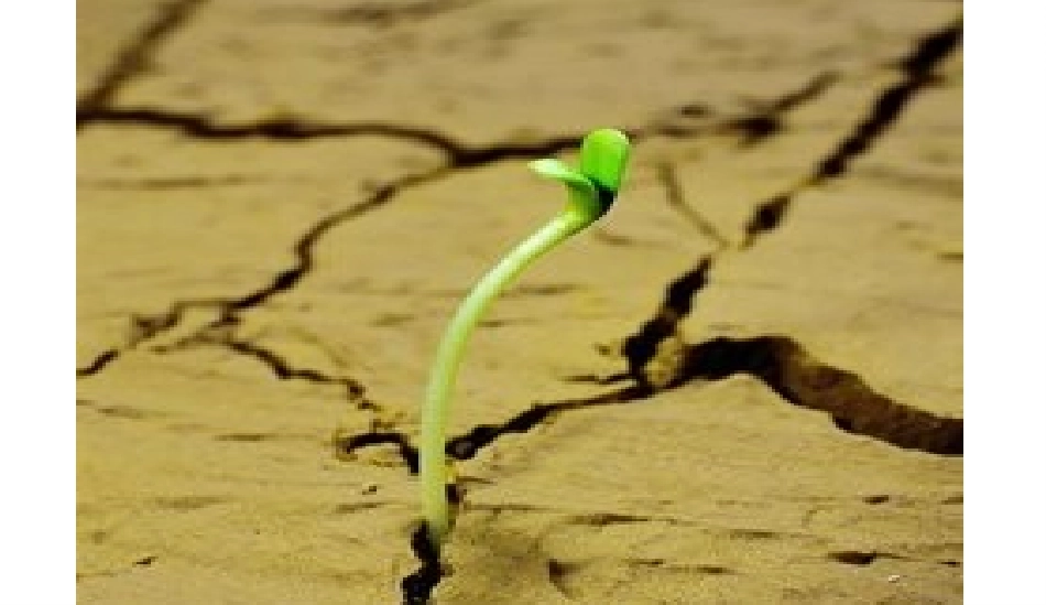 主题丛书阅读指导课_第3页