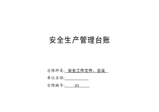 安全生产管理台账范本(DOC30页)
