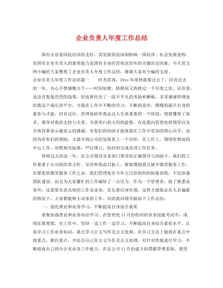 企业负责人年度工作总结 