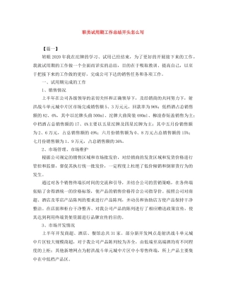 职员试用期工作总结开头怎么写 