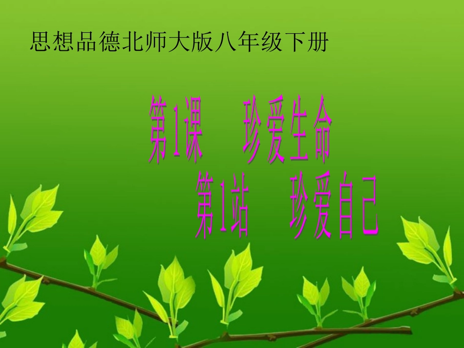 第一课第1站珍爱自己_第1页