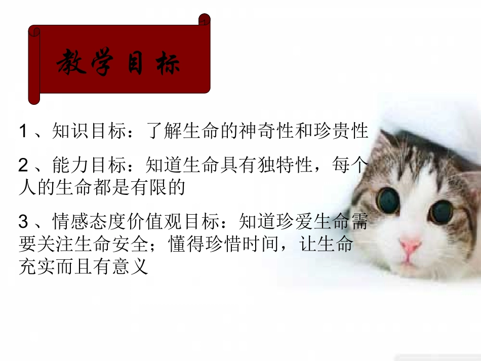 第一课第1站珍爱自己_第2页