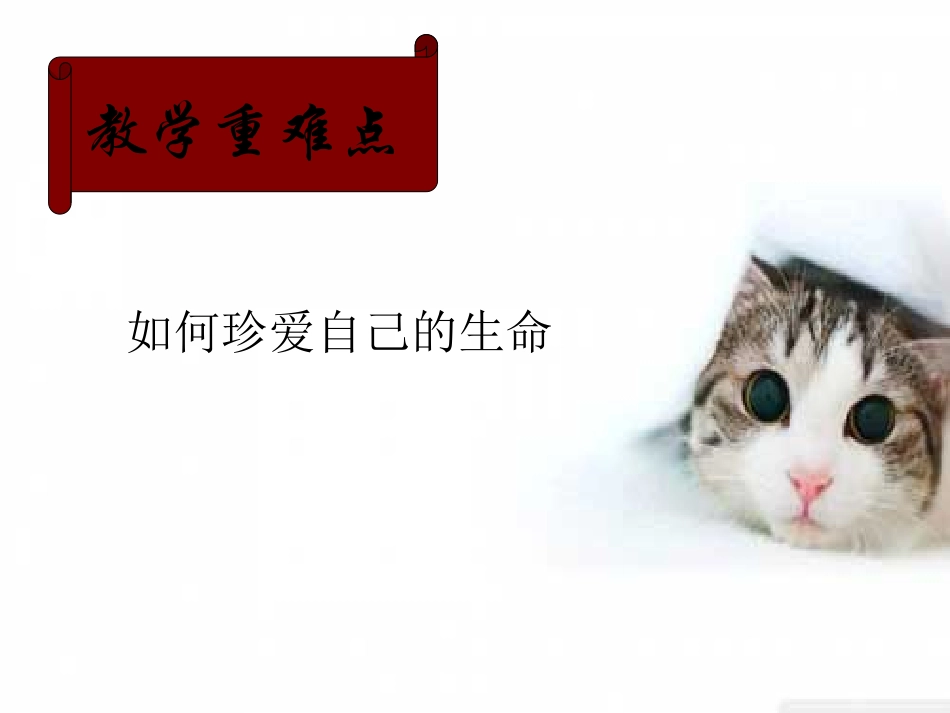 第一课第1站珍爱自己_第3页