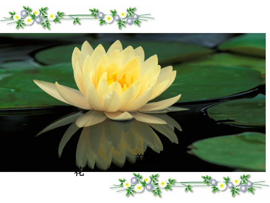 植物妈妈有办法课件_第2页