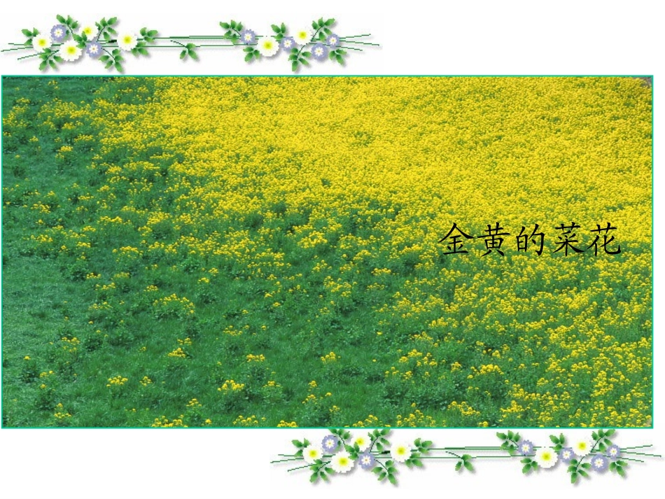 植物妈妈有办法课件_第3页