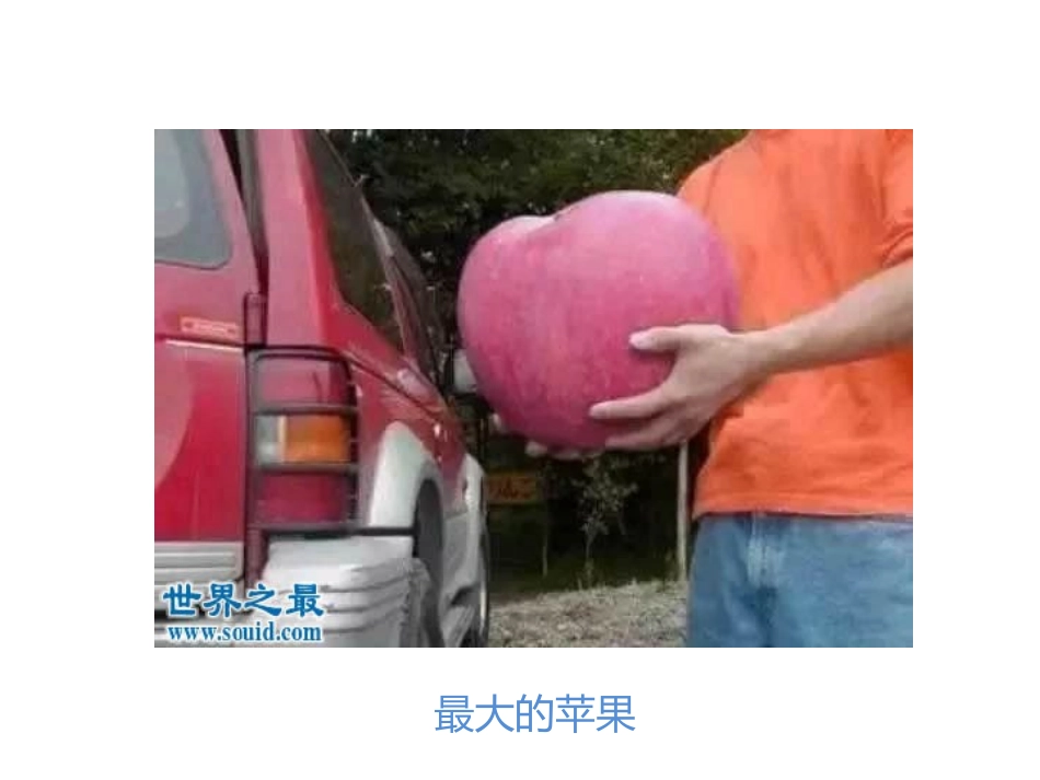 制作电子小报_第1页