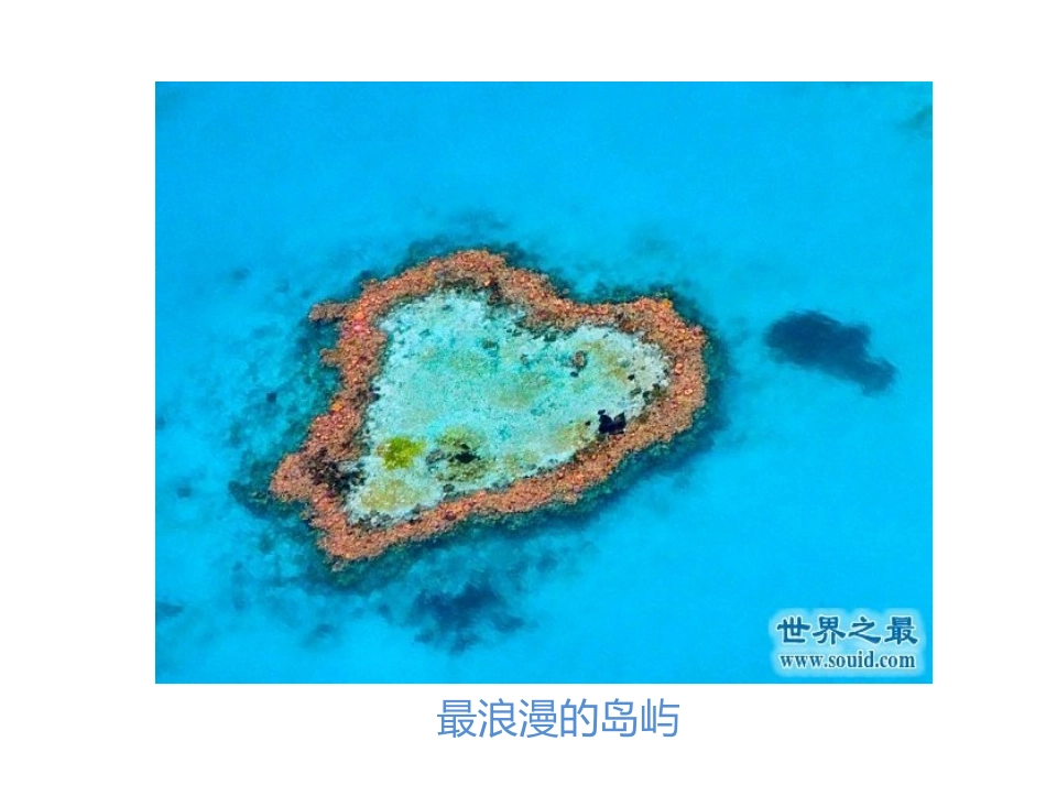 制作电子小报_第3页