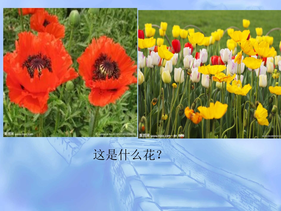 鸦片战争的烽烟 (3)_第1页