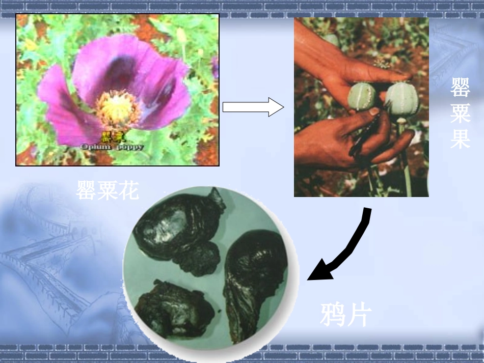鸦片战争的烽烟 (3)_第2页