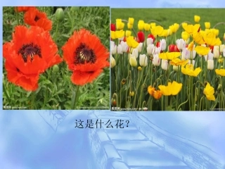 鸦片战争的烽烟 (3)