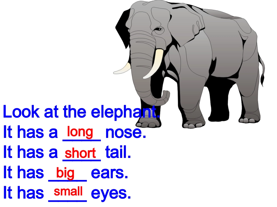 三年级英语下册unit3课件_第3页