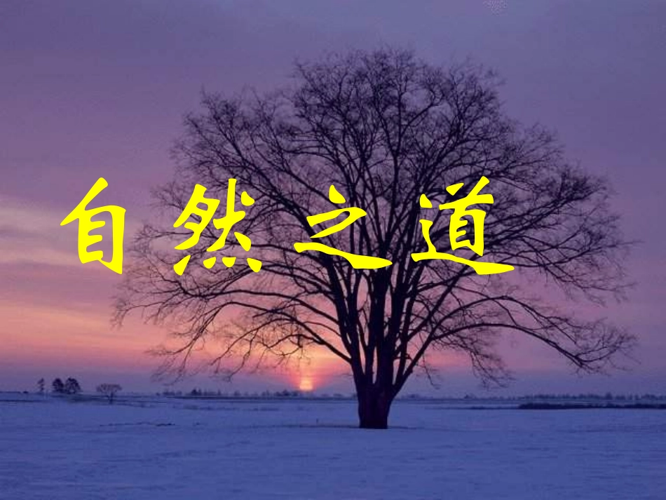 自然之道PPT课件_第1页