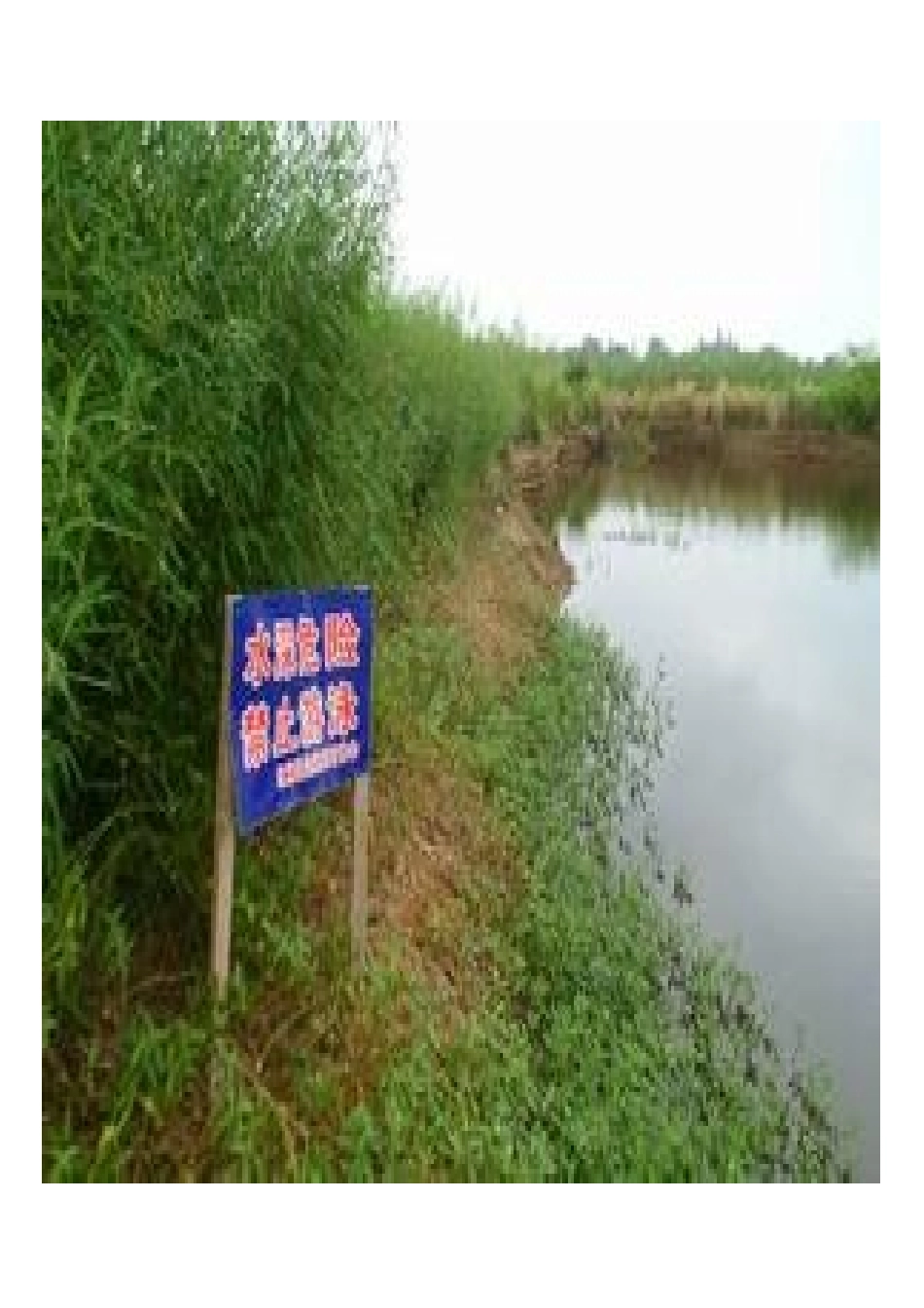 防溺水图片（小小一）_第3页