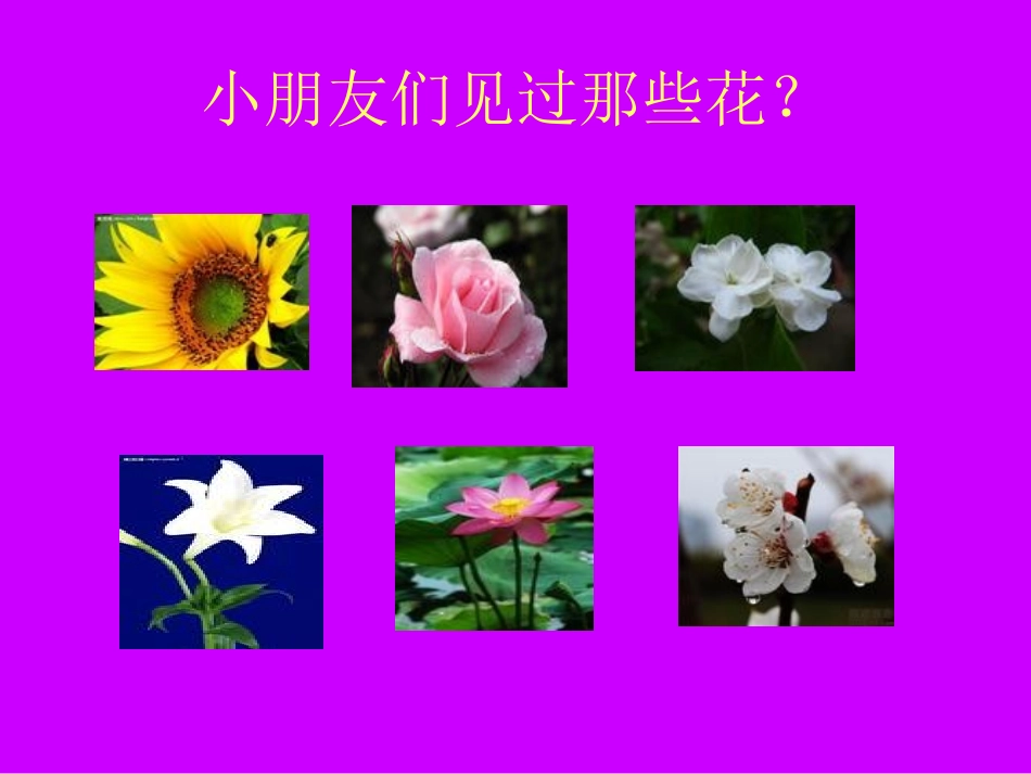 幼儿美术我喜欢的花_第3页