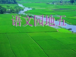 二年级下册语文园地五