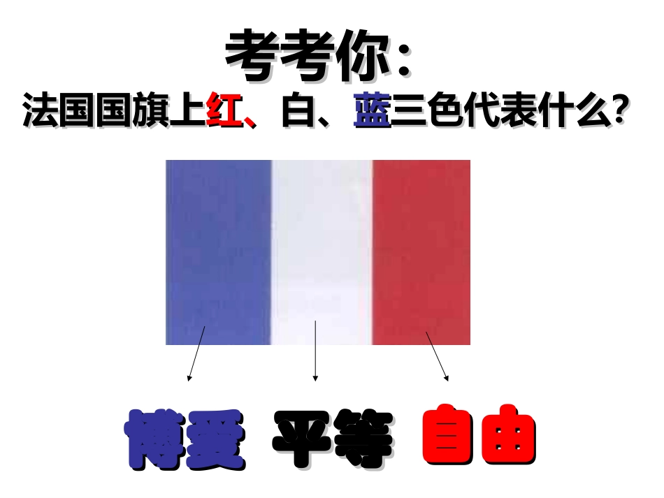 法国大革命和拿破仑帝国 (2)_第3页