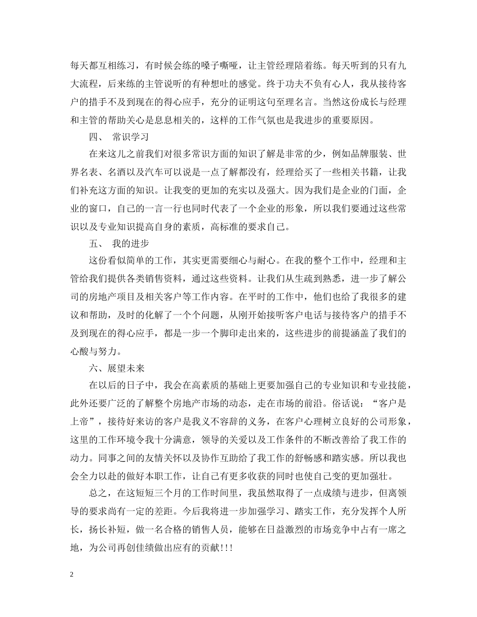 置业顾问的试用期工作总结报告 _第2页