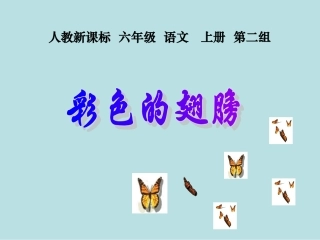 六年级语文第7课彩色的翅膀PPT课件