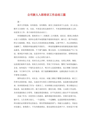 公司新人入职培训工作总结三篇 