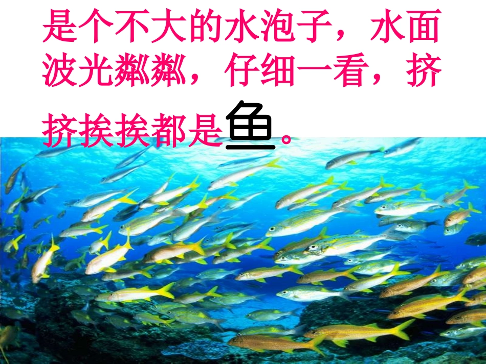可爱的草塘课件 (2)_第2页
