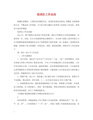 综采队工作总结 