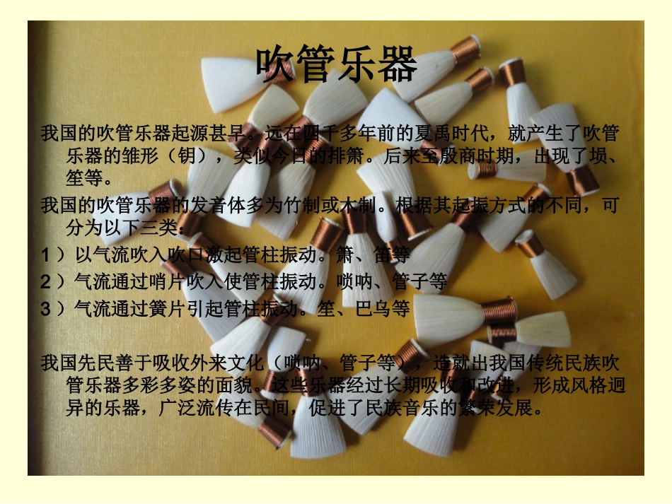 中国民族乐器介绍_第3页