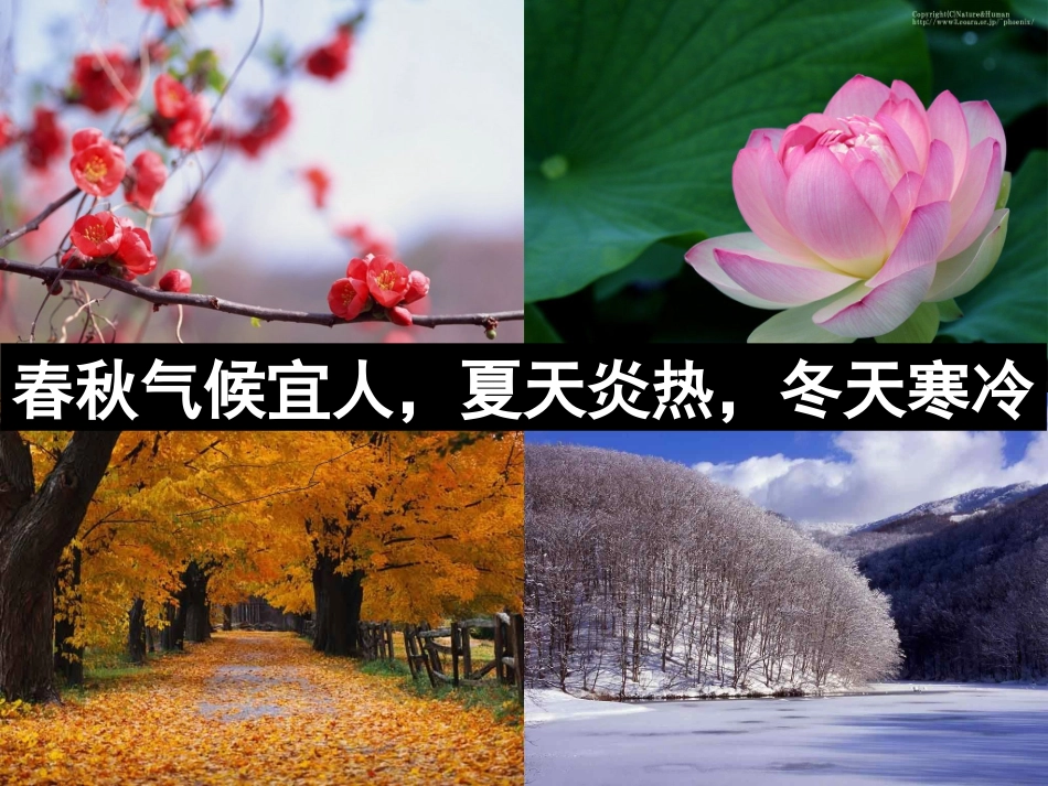、为什么一年有四季_第2页