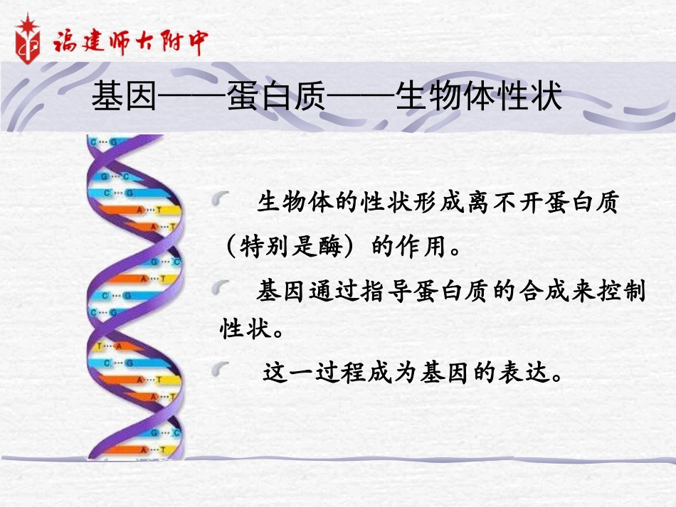 基因的表达（公开课）_第2页