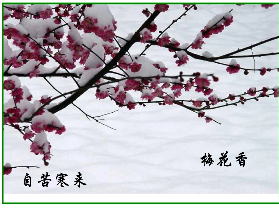 卜算子咏梅讲课_第3页