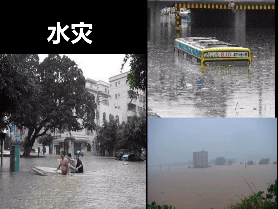 《当灾害降临的时候》课件1_第3页