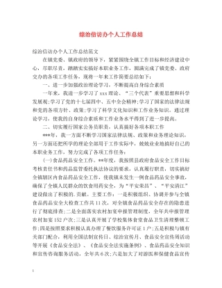 综治信访办个人工作总结 