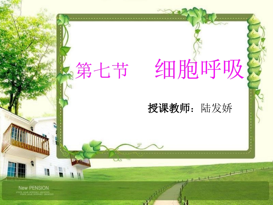 细胞呼吸-陆发娇_第1页