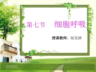细胞呼吸-陆发娇