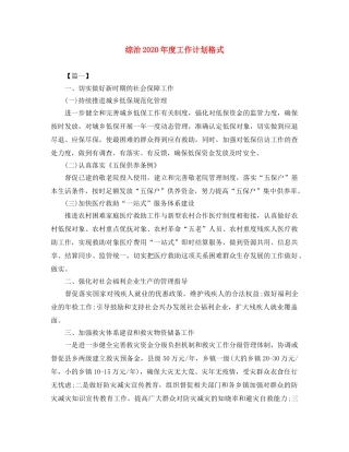 综治2020年度工作计划格式 