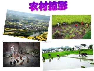 走访原始的农业聚落 (2)