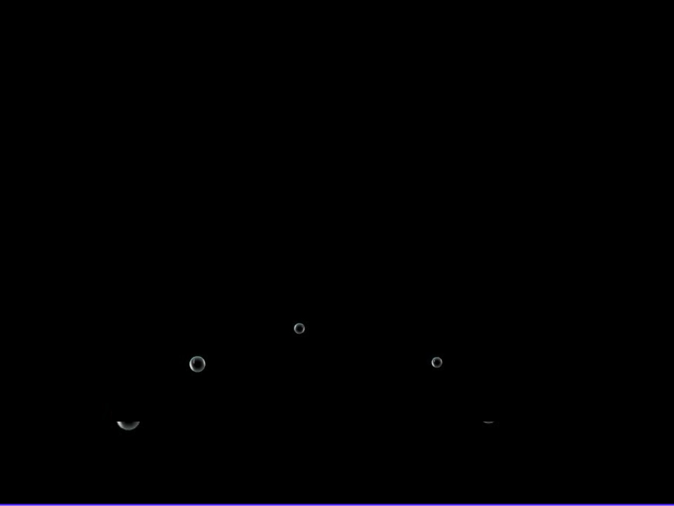 荷叶圆圆(1)_第2页