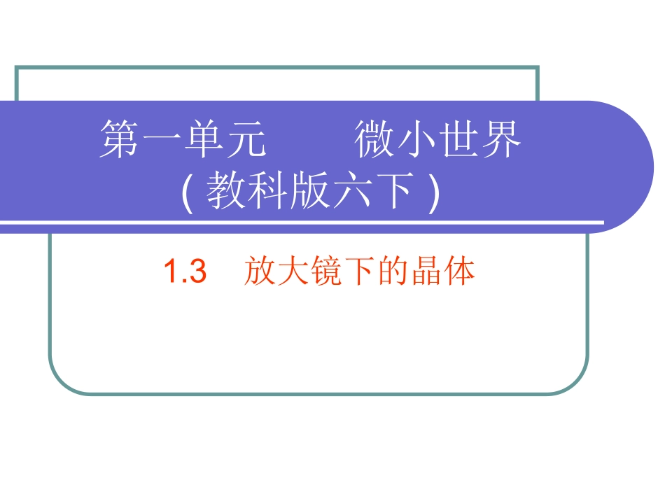 六下13放大镜下的晶体_第1页
