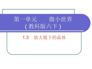 六下13放大镜下的晶体