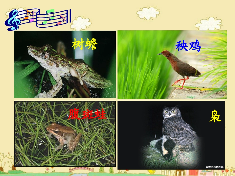 森林的歌声课件_第1页