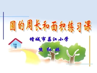 《圆的周长和面积练习课》课件