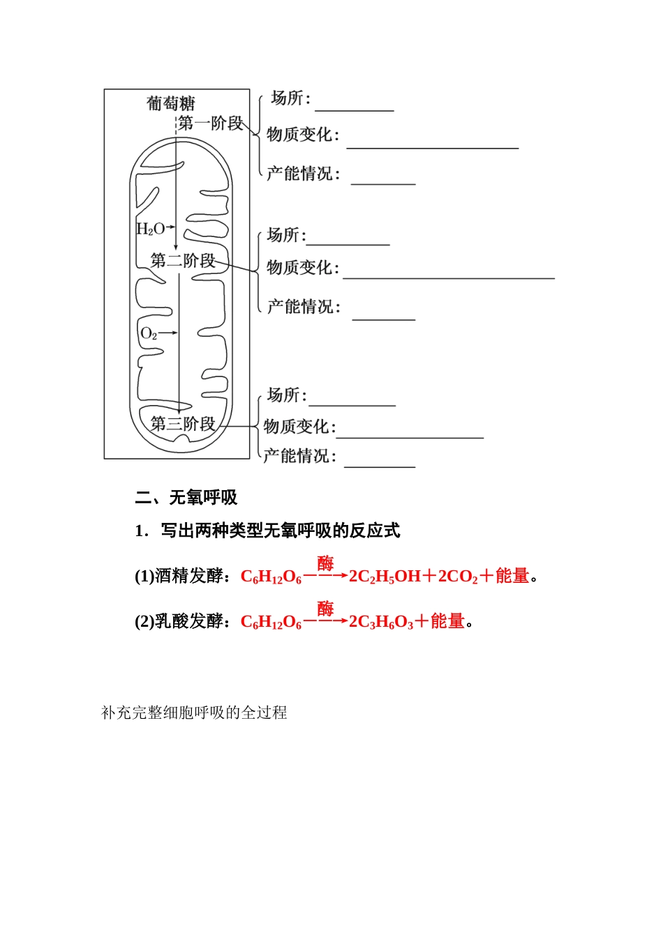 光合作用和细胞呼吸_第2页