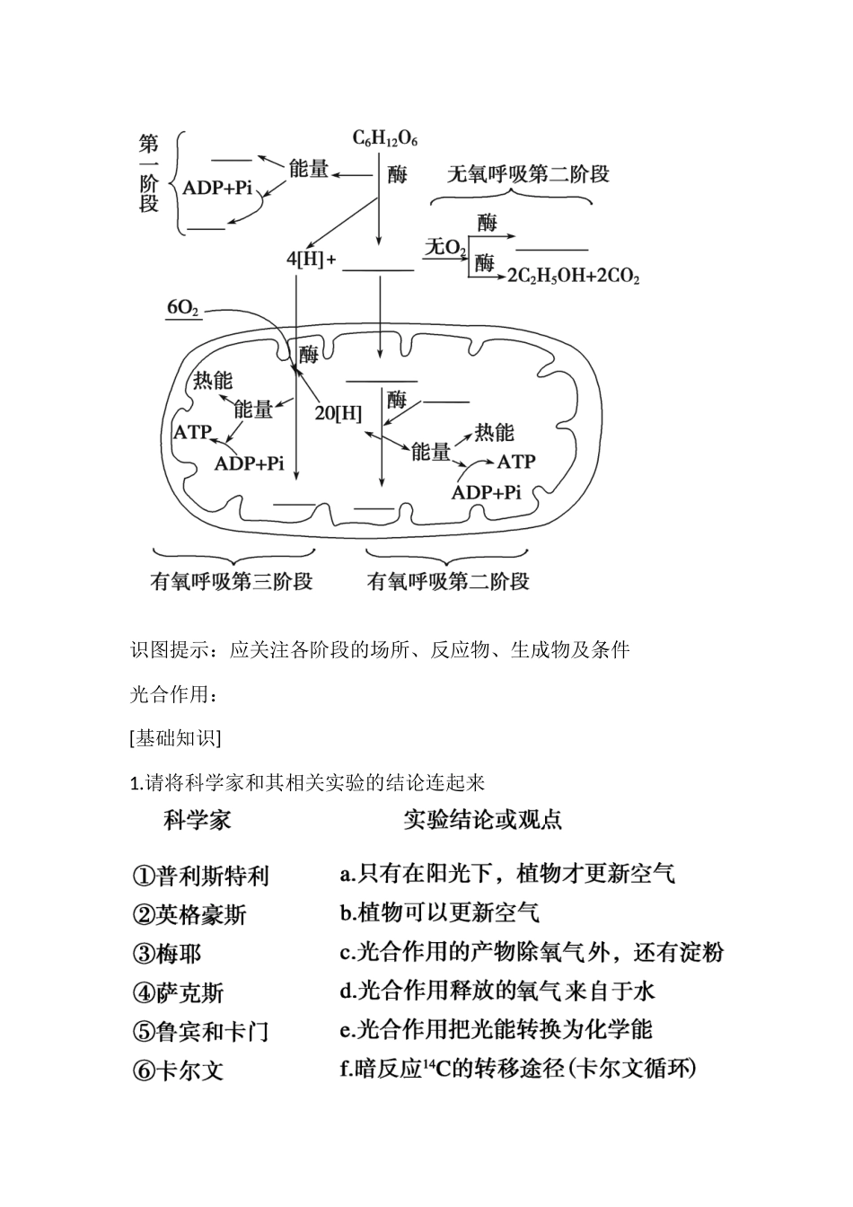 光合作用和细胞呼吸_第3页