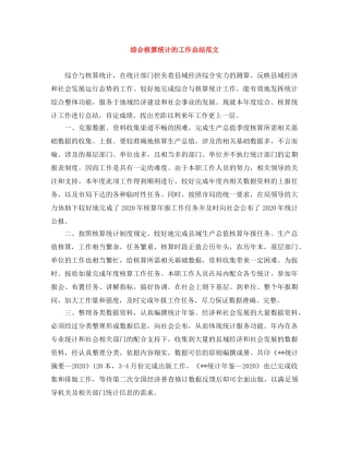综合核算统计的工作总结范文 
