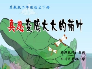 课件_《真想变成大大的荷叶》_语文_秦燕