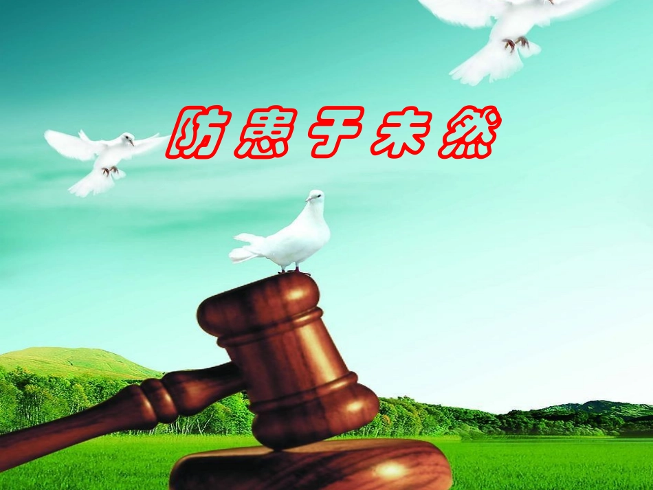 防患于未然课件1_第3页