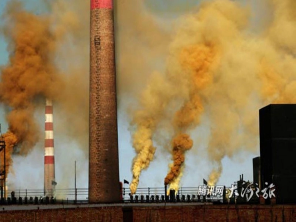 给未来一片绿色_第3页